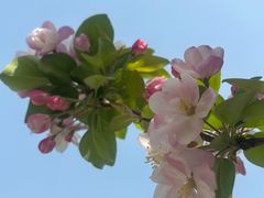 -元大都城垣遗址公园