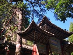 -藏山旅游风景区