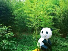 -嘉北郊野公园
