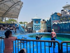 -华夏文旅海洋公园