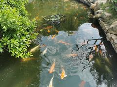 -厦门日月谷温泉渡假村