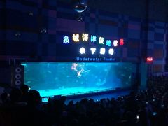 -泉城欧乐堡海洋极地世界