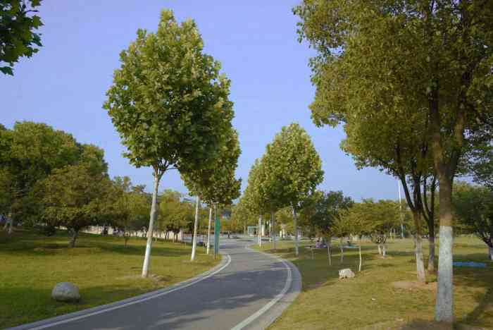 府河郊野公园-"早就听说武汉近郊有个府河郊野公园,这天阳.