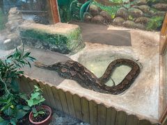 -上海大自然野生昆虫馆(东方明珠·爬宠昆虫探索中心)