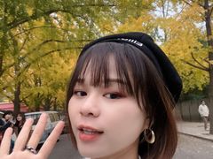 -三里屯东五街银杏大道
