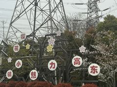 -高东镇樱花园
