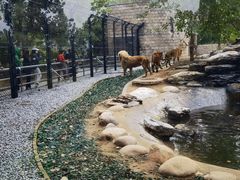 -北京野生动物园