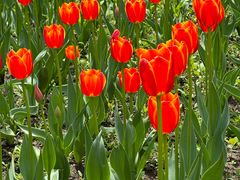 -长春公园(普阳街道)