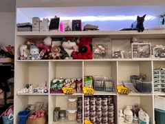-楼上猫咖(罗湖店)