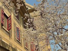 -武汉大学-樱园