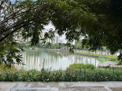 -南宁南湖公园