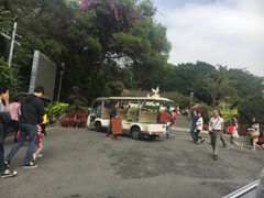 -金鸡山公园