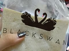 -BLACKSWAN黑天鹅(环球店)