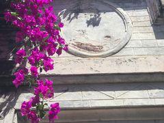 -金谷域澳洲庄园