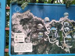 -广东惠东海龟国家级自然保护区