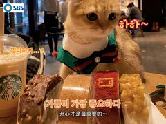 -星巴克(天津鲁能中心第三店)