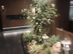 -将军牛排·尔滨地标朝鲜族美食(总店)
