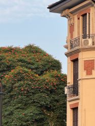 -HeyJewel全球独立设计师原创首饰集合店