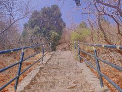 -香山公园