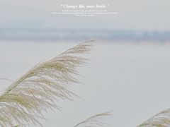 -福建鲤鱼洲酒店