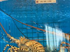 -协成海鲜火锅(情侣路店)