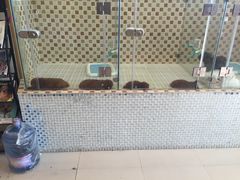 -可蒙动物医院·猫科·骨科中心(首义路店)