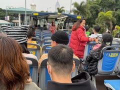 -Big Bus Tours 敞篷观光巴士