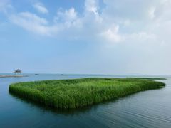 -苏州太湖国际会议中心