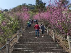 -天台山赤城山景区
