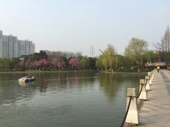 -荆川公园