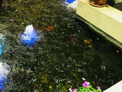 -天宫南铂玫瑰园酒店