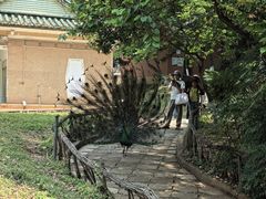 -昆明动物园