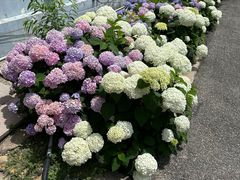 -昆嵛山石门里景区