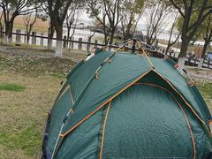 -太湖湖滨国家湿地公园-停车场