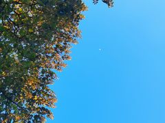 -青岩古镇
