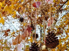 -福州大学(旗山校区)