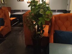 -吱咖啡西式简餐