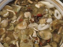 -山菌美食苑(振兴路店)