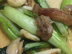-绿华园休闲山庄