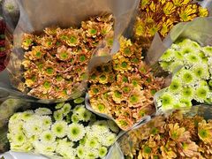 -循礼门鲜花花市(武汉循礼门店)