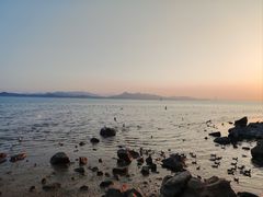 -深圳湾公园(南山区)