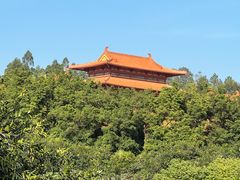 -三水森林公园