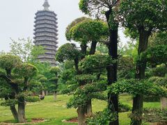 -西海子公园