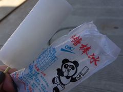-奔跑吧乐园