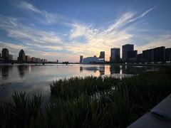 -金沙湖公园