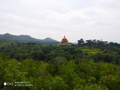 -磬锤峰森林公园