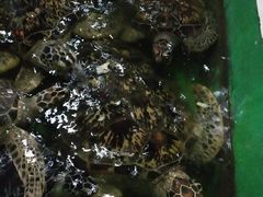 -常州海昌海洋探索馆