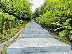 -冶父山国家森林公园