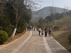 -佛慧山