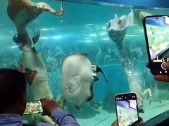 -苏州海洋馆